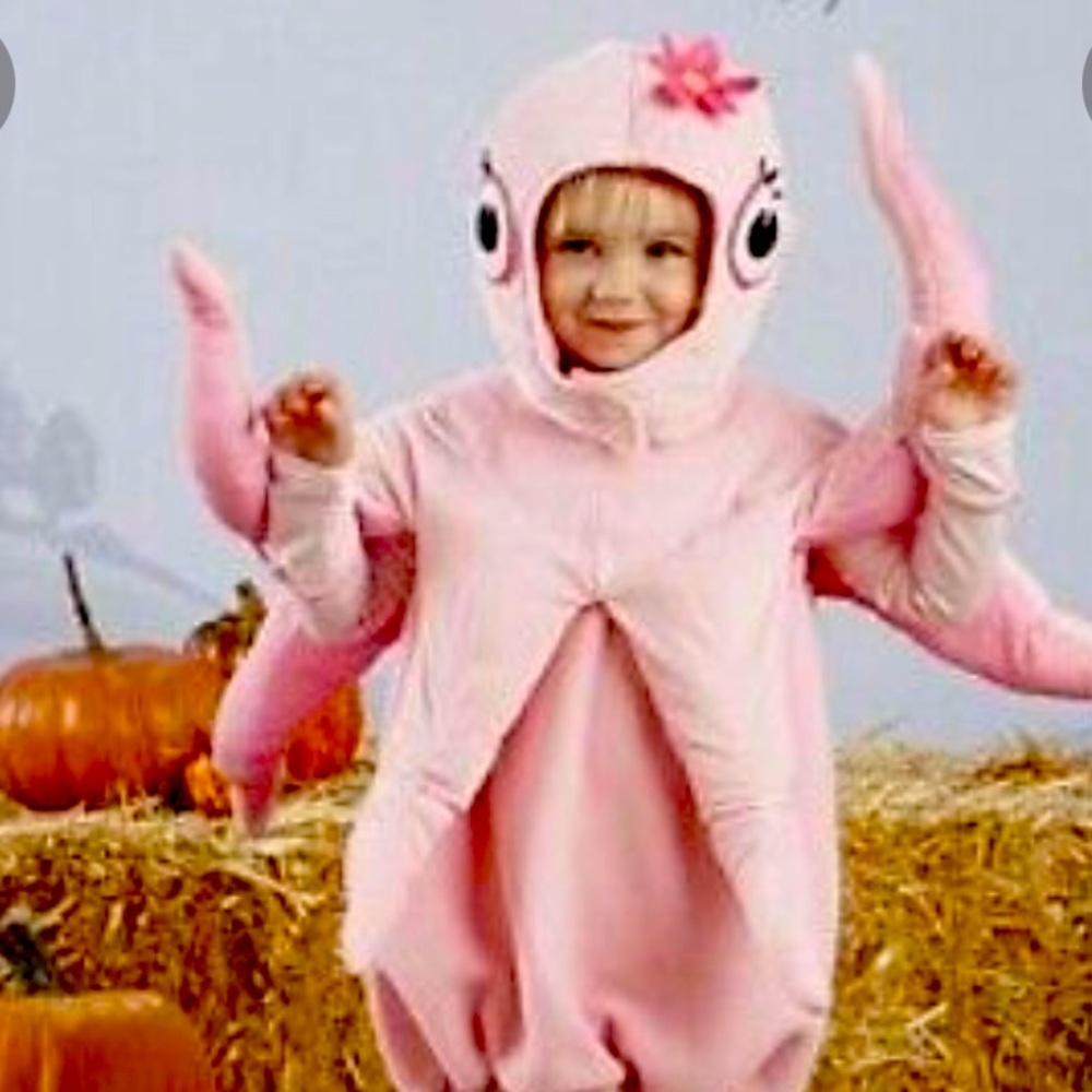 Pottery Barn Kids Octopus Halloween Costume, 2T-3T